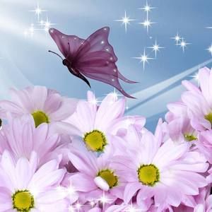 Meet your Posher, Terri